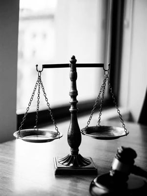 Quyền đưa ra yêu cầu độc lập của người có quyền lợi, nghĩa vụ liên quan